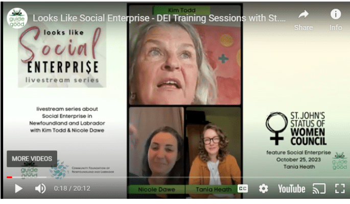 Looks Like Social Enterprise logo with three women, and logos of Guide to the Good, Community Foundation of Newfoundland and Labrador, and St. John's Status of Women Council 